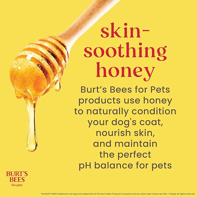 BURT'S BEES FOR PETS Oatmeal Dog Conditioner with Honey, Moisturizing Dog Coat Conditioner for Dry and Sensitive Skin to Help Soften and Nourish Coats During Grooming, 10 Fl Oz - 2 Pack