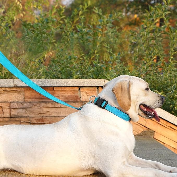 Dog Leash 6 FT Padded Handle Nylon Reflective Dogs Leashes for Large Dogs Sky Blue