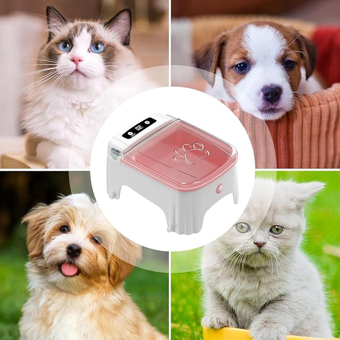 Pet Feeder - Electric Smart Meal Distributor, Digital Schedule Kibble Server with Voice Reminder Feature, Anti Jam Dispensing Design, Ideal for Busy Owners Travel Care