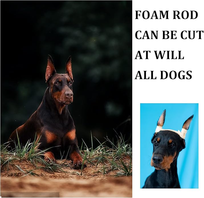 Doberman Ear Posting Kit, Dog Ear Cropping Dog Ears Stand up Care Tape Kit for Doberman Pinscher Dogs