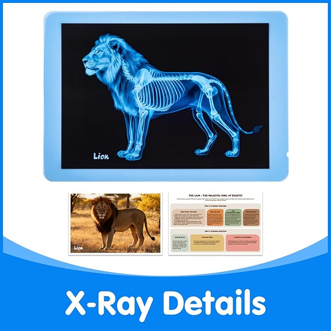 Zoo Animal Xrays for Kids - 15 Pcs Animal Science Kit for Vet Role Play, Light Table Accessories, and Exploring Bone Structure