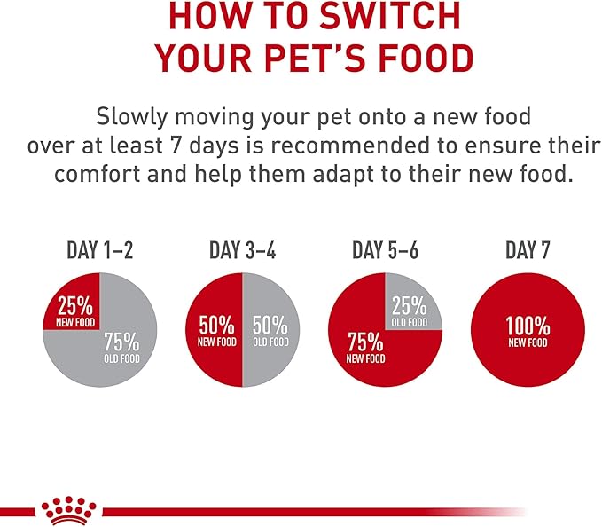 Royal Canin Canine Health Nutrition Mature 8+ Loaf in Sauce Dog Food, 5.2 oz (Pack of 24)