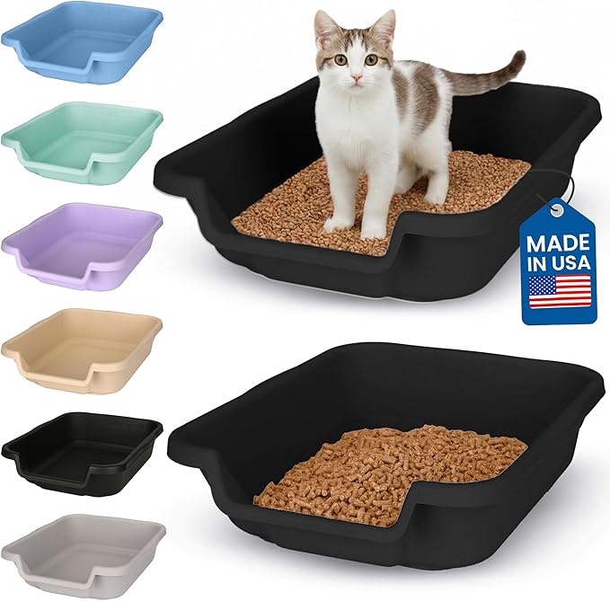 KittyGoHere Senior Cat Litter Box, Small Litter pan, Open Top Low Entrance Kitty Litter Box, Lightweight Low Entry Litters Box, Durable, Made in USA (2 Pack - Black)