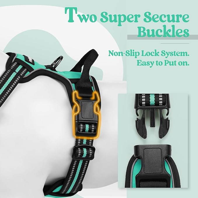rabbitgoo Dog Harness No Pull with 2 Leash Clips, Adjustable Soft Padded, Reflective Oxford No Choke Pet Vest with Easy Control Handle for Medium Sized Dogs, Turquoise, M