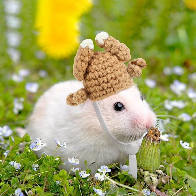 Kajaia 10 Pcs Hamster Hat Small Animals Cute Tiny Hat Mini Hand Knitted Hats for Snakes Pets Bearded Dragon Guinea Pig Bunny Costume Accessories Easter Holiday Parties(Elk Style)