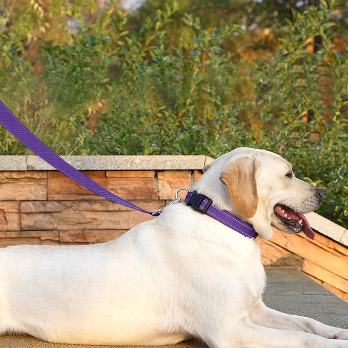 Dog Leash 6 FT Padded Handle Nylon Reflective Dogs Leashes for Medium Dogs Purple