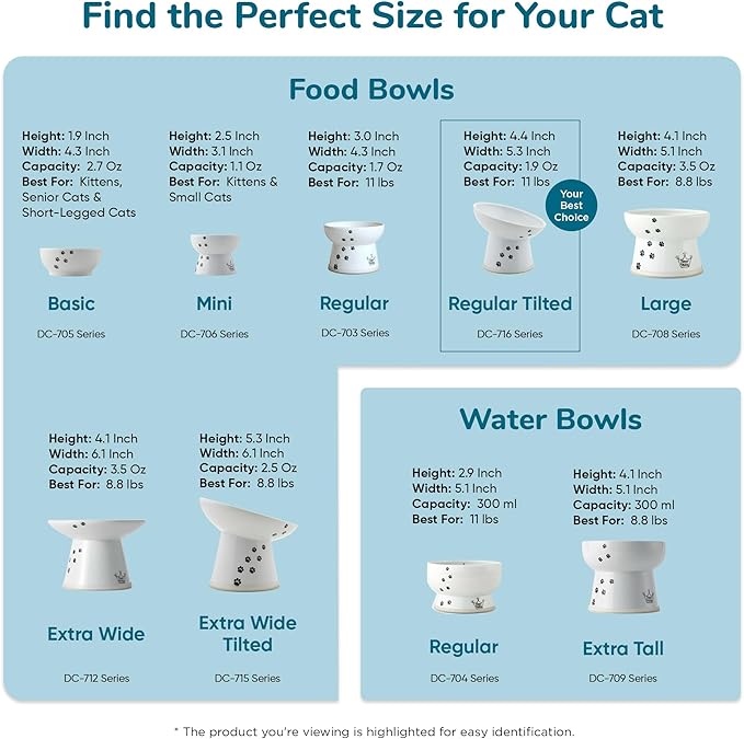 Necoichi Raised Cat Food Bowl – Ceramic Elevated 15° Tilted Cat Bowl for Whisker & Neck Fatigue, Dishwasher Microwave Safe – Non-Slip & Anti Vomiting Ergonomic Design (Fuji, Regular Tilted)