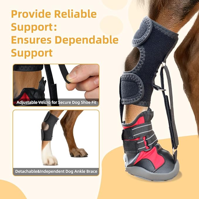 Strap-On Drop Foot Brace (No Knuckling Boot Brace) for Dogs— Dog Knee Pads,Corrective Dog Shoes to Safely Lift Toes for Foot Issues, Arthritis, and improving Walking gait in Dogs(L)