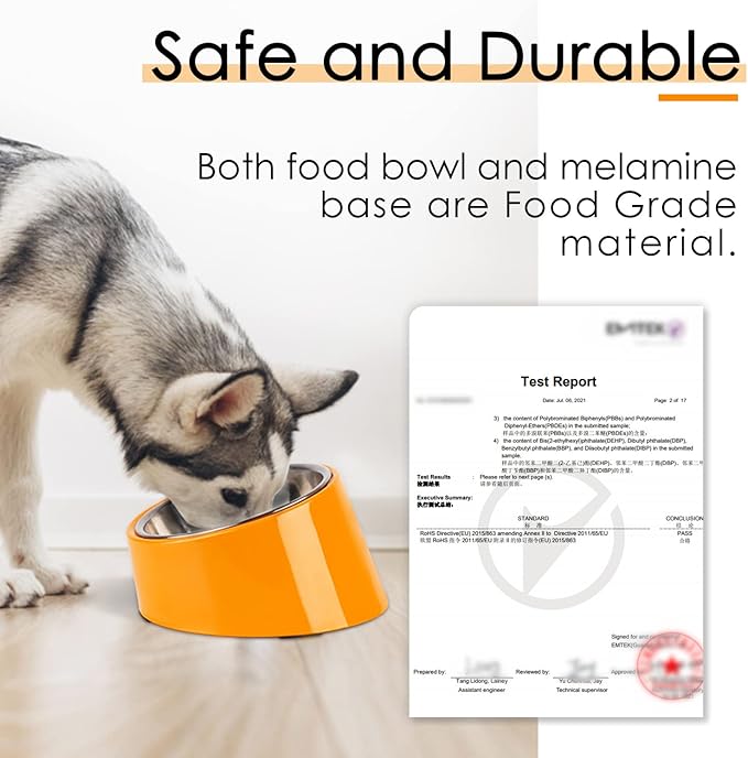 SuperDesign Mess Free 15° Slanted Bowl for Dogs and Cats, Tilted Angle Bulldog Bowl Dog Feeder, Non-Skid & Non-Spill, Easier to Reach Food S/0.5 Cup Bright Orange