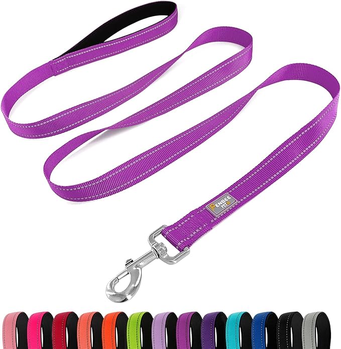 Reflective Dog Leash 6 FT Padded Handle Nylon Dogs Leashes for Small Dogs Dark Magenta