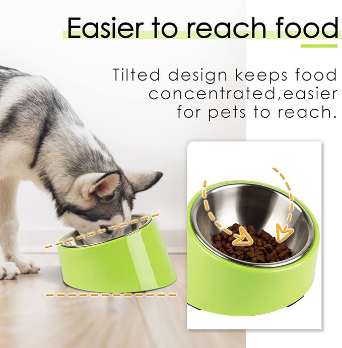 SuperDesign Mess Free 15° Slanted Bowl for Dogs and Cats, Tilted Angle Bulldog Bowl Dog Feeder, Non-Skid & Non-Spill, Easier to Reach Food L/2 Cup Green