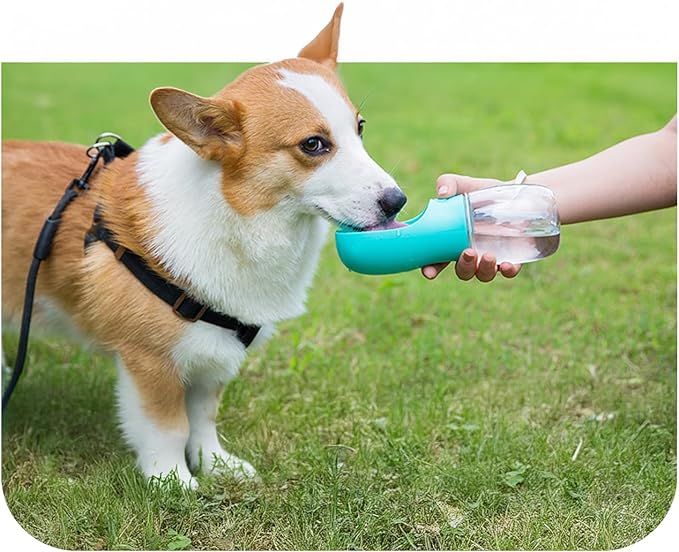 Portable Dog Water Bottle with Bowl – Leak Proof, Lightweight Travel Water Bottle for Dogs. (Green, 350 ml)