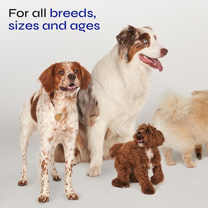 Glucosamine for Dogs - Hemp Joint Supplement for Dogs - Glucosamine Chondroitin Chews with MSM - Soft Chews for Canine Mobility Support - Hip & Joint Pain Relief - Hemp Seed Oil, Turmeric, Collagen