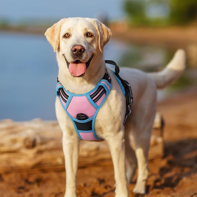 rabbitgoo Dog Harness No Pull with 2 Leash Clips, Adjustable Soft Padded, Reflective Oxford No Choke Pet Vest with Easy Control Handle for Large Dogs, Pink & Blue, L