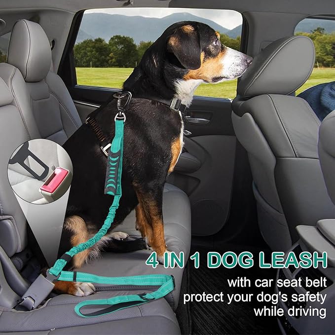 Heavy Duty Dog Leash for Medium Large Dogs That Pull,4-6FT Shock Absorbing Bungee Tactical Dog Leash with Control Padded Handle and Car Seatbelt, Reflective Lead for Walking Training,Teal