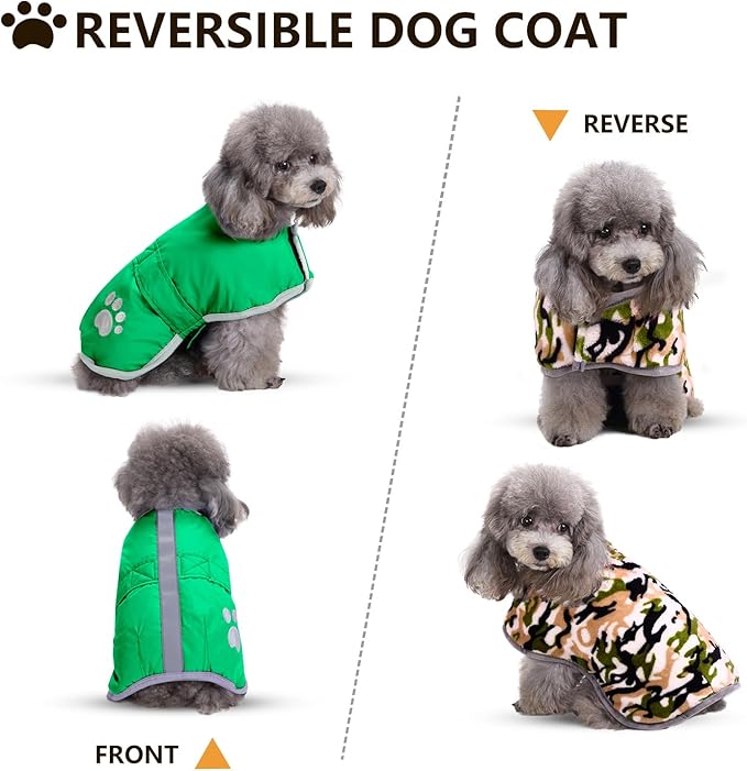 Queenmore Dog Winter Coat, Cold Weather Fleece Jacket for Dogs, Waterproof Reflective Reversible, for Small, Medium and Large Dogs (Green, XS)