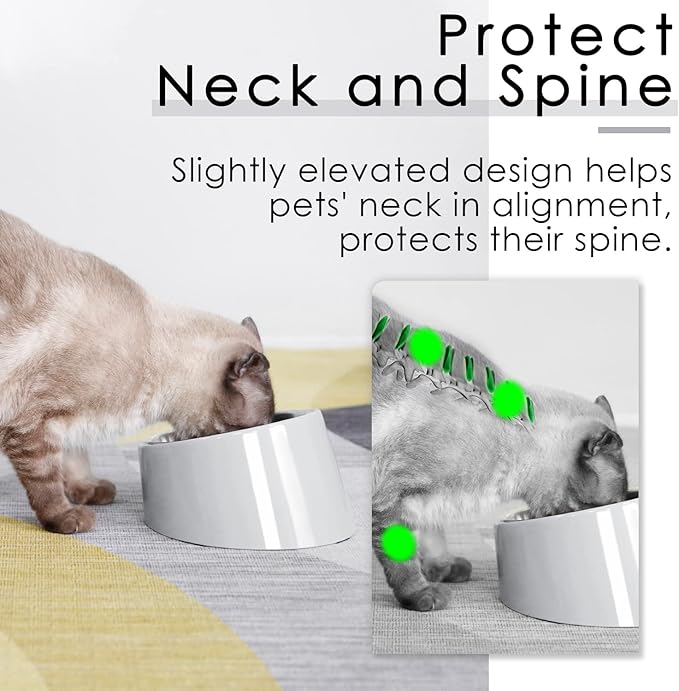 SuperDesign Mess Free 15° Slanted Bowl for Dogs and Cats, Tilted Angle Bulldog Bowl Dog Feeder, Non-Skid & Non-Spill, Easier to Reach Food L/2 Cup Gray
