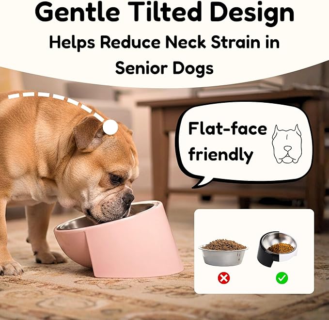 Tilted Dog Bowl for Flat-Faced & Senior Dogs, 2 Pack 15° Slanted Stainless Steel Dog Food Bowl, Elevated Pet Feeder for Small & Medium Dogs, Comfortable Eating Design (Black*2, M (420 ML / 1.5 Cups)