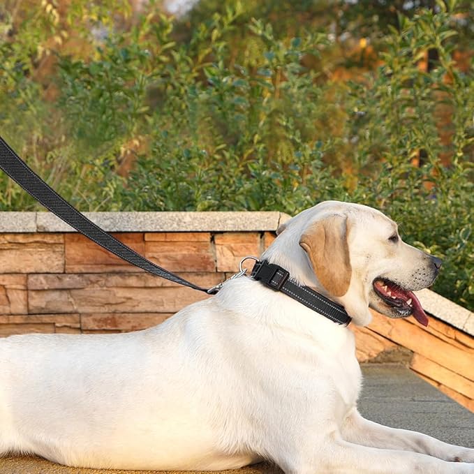 Dog Leash 6 FT Padded Handle Nylon Reflective Dogs Leashes for Large Dogs Black