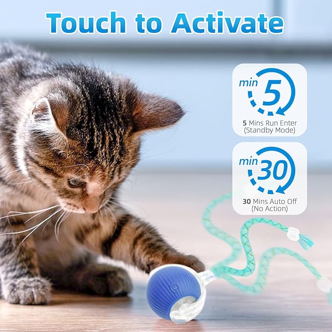 Interactive Cat Toys for Indoor Cats, Automatic Kitten Toys for Bored Indoor Adult Cats, Smart Kitten Rolling Ball Moving Balls Toy, Rechargeable Dog Cat Ball for Enrichment Exercise (Green+Blue)