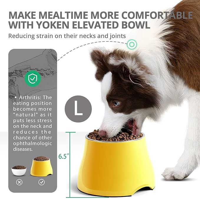 Raised Dog Bowls, Elevated Dog Bowls for Wearing Cone,Cocker Spaniel Long Ears,Neck Stress-Free,Non-Slip Stianless Steel Bowl for Large Dogs