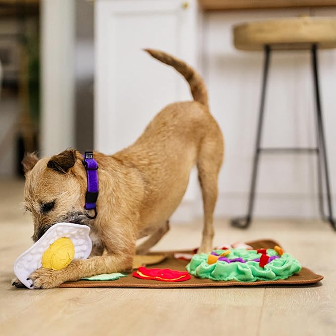 P.L.A.Y. Cute Snuffle Mat for Dogs - Brunch Themed Interactive Food & Treat Mat for Puppies Dogs - Enrichment Toy, Great for Slow Feeding, Nosework & Foraging Skills - Machine Washable