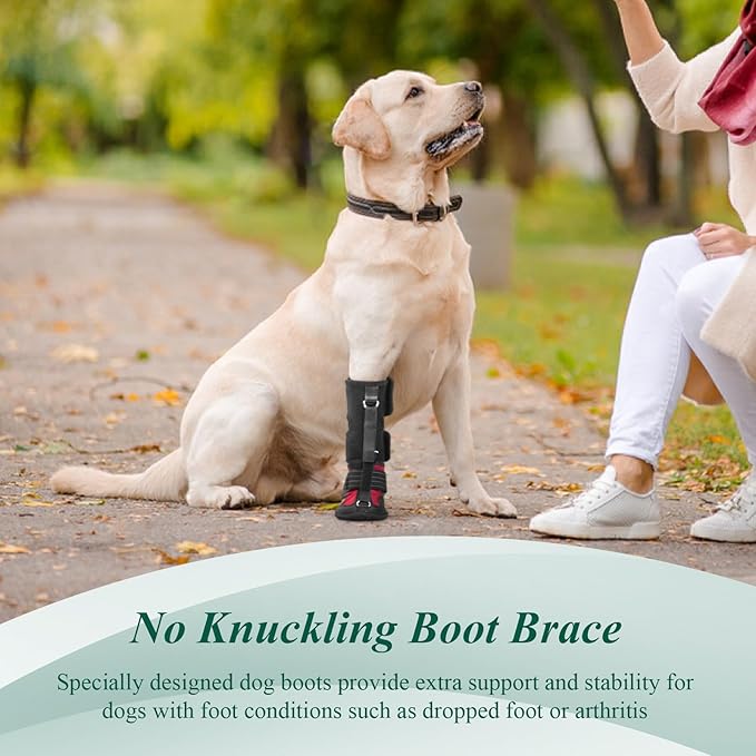 Strap-On Drop Foot Brace (No Knuckling Boot Brace) for Dogs— Corrective Dog Shoes to Safely Lift Toes for Foot Issues, Arthritis, and improving Walking gait in Dogs(XS)