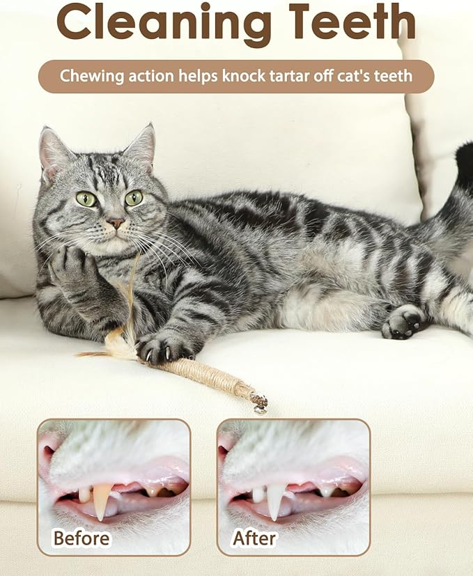 Tocirelo Cat Toys & Cat Chew Toys