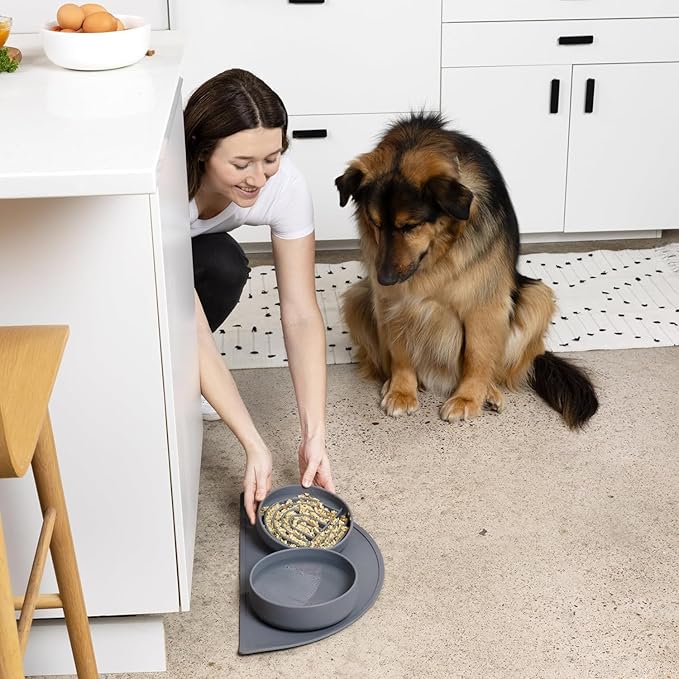 Should We Go? Complete Pet Feeding Set: Slow Feeder & Water Bowl with Spill-Proof Silicone Mat - Ideal for Small to Medium Dogs, Non-Slip, Easy Clean, Raised Edges, Durable Silicone - Charcoal