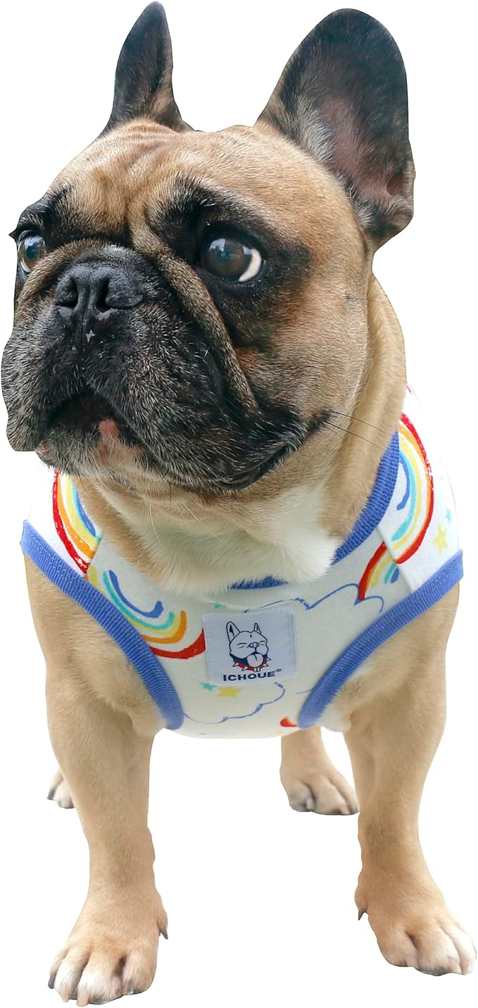 iChoue 100% Breathable Cotton French Bulldog Halloween Cartoon T Shirts Cute Clothes for Dogs Vest Tank Tops Puppy Frenchie Pug Small Puppy English Boston Terrier Rainbow - Medium