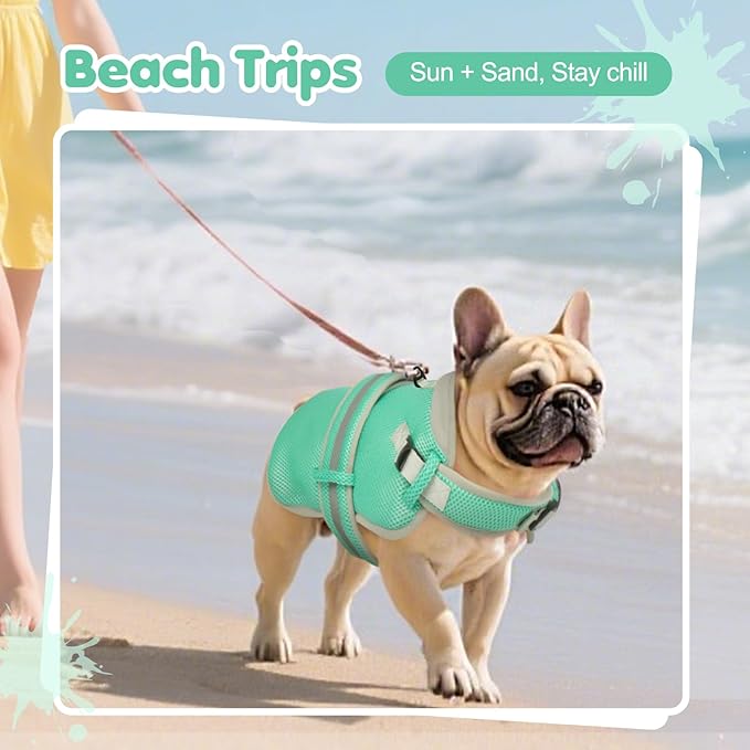 Dog Cooling Vest for Medium Dogs,Lightweight Cooling Dog Jacket,Breathable Mesh Dogs Shirt Harness Vest with Adjustable Straps Reflective Stripe for Hot Weather with D-Ring for Beach,Hiking,M