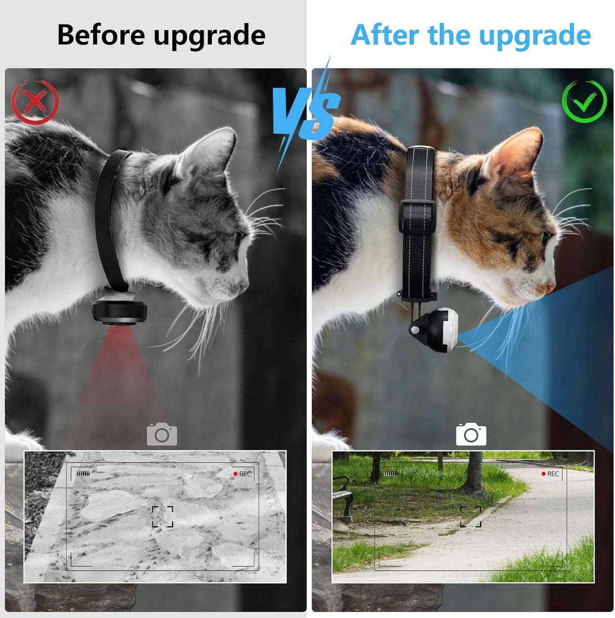 1080p Cat POV Camera Collar, No Wi-Fi