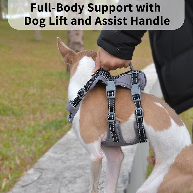 Huntboo Reflective Dog Harness with Handle, Escape Proof, No Slip, Breathable, Lightweight, Adjustable Lift Harness for Small, Medium, and Large Dogs Walking, Training, and Running Gear(Black,M)