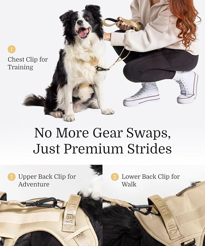 2025 New Edition, Fei & Eve Classic Dog Harness - Quick-Release Buckles | 3-Point No-Pull Control | Heavy-Duty 900D Nylon | Dual Safety Handles | Breathable Mesh | Adjustable Fit | Medium,Champagne