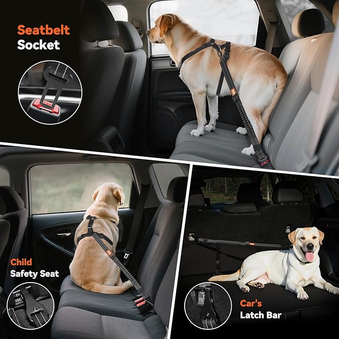 Dog Seat Belt, Dog Car Seat Belt Bungee, Car Harness for Pet with Buckle & Hook Latch, Safety Leash Vehicle, Adjustable Reflective Pet Vehicle Tether, 360° Swivel Lock Clasp, Black
