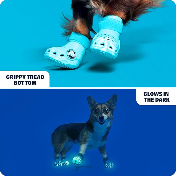 BarkBox Aqua Crocs Dog Shoes – Set of 4 Glow-in-The-Dark Dog Booties with EVA Foam, Adjustable Strap & Non-Slip Sole – Comfortable Paw Protection for Medium Breeds (26-50 lbs)