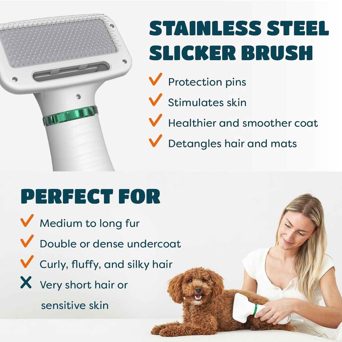 2-in-1 Dog Hair Dryer with Brush — 300W Dry & Groom in One, Adjustable Heat, Overheat Protection