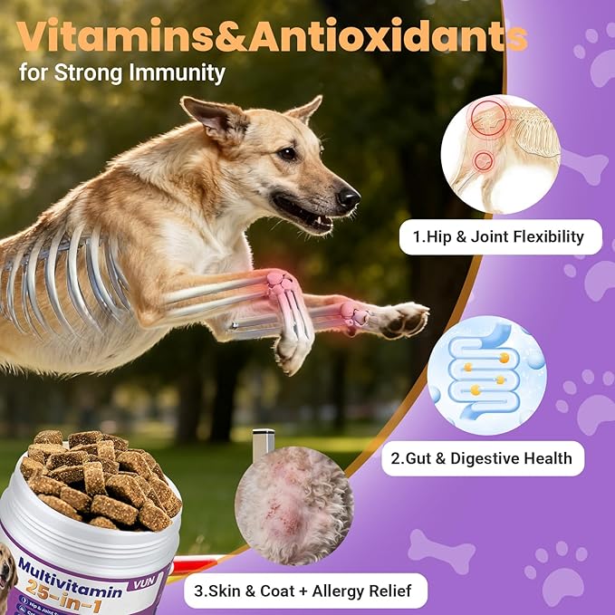 Dog Multivitamin 25 in 1 Chewable Dogs Vitamins Supplements Treats for Pet Omega-3 Glucosamine Vitamin for Puppy Supplies Skin Coat, Heart, HIPS & Joints, Digestion & Immune System 100pcs