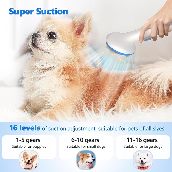 GAOMON Dog Grooming Kit, Pet Grooming Kit 2L Large Container, Quiet Pet for Shedding, Dog Hair Trimmer for Home and Professional Use, Blue