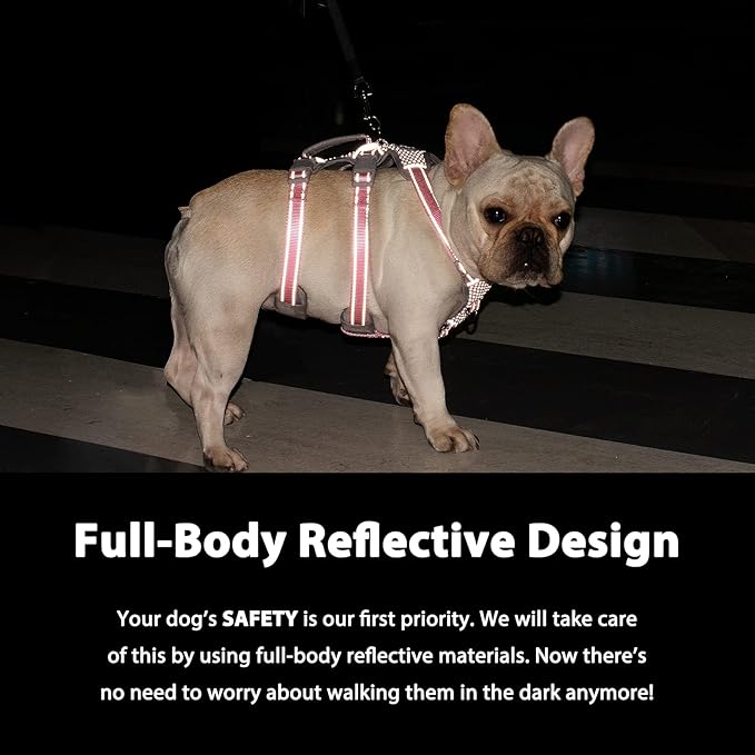 Huntboo Escape Proof Dog Harness, No Pull Reflective Harness with Lift Handle, Adjustable Pet Vest with Front and Back Leash Clips for Small Medium Large Dogs Walking Hiking Training (Red,L)