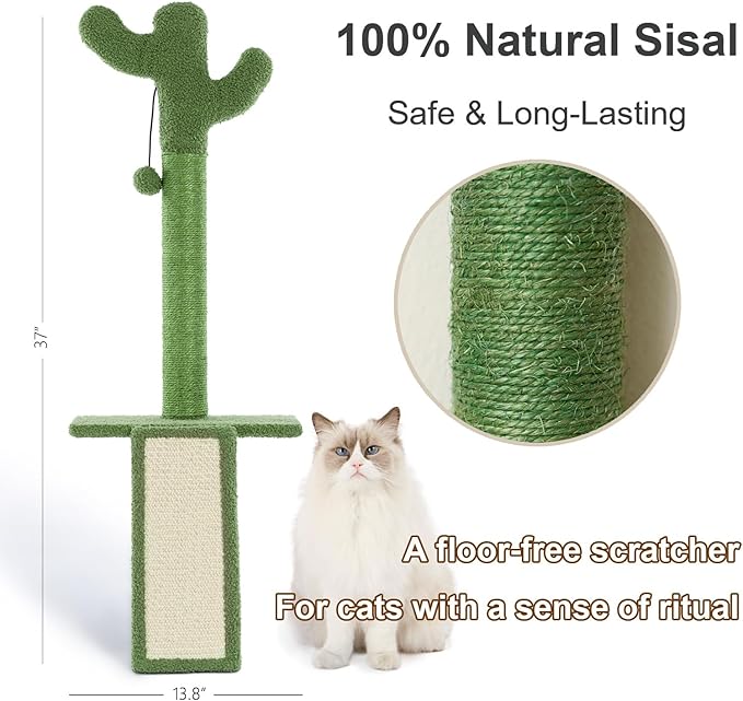 Wall Mounted Cat Scratcher with Jump Platform – Tall, Stable Cat Wall Furniture with Sisal Post for Climbing and Scratching – Cactus Design for Indoor Cats