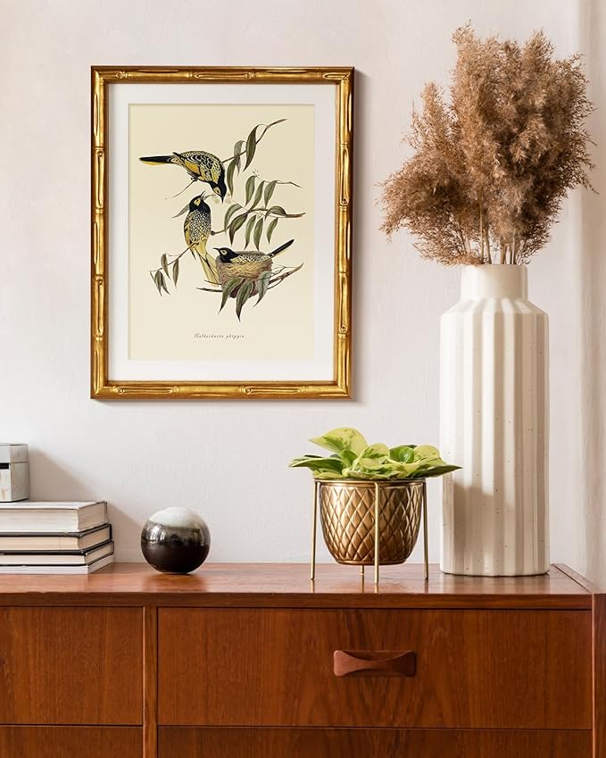 HUARCEY Antique Style Bird Botanical Wall Art 11x14, Classic Gold Framed Canvas Warty-faced Honey-Eaters Illustration, Traditional Vintage Nature Artwork Bedroom Office Study Cottagecore Decor