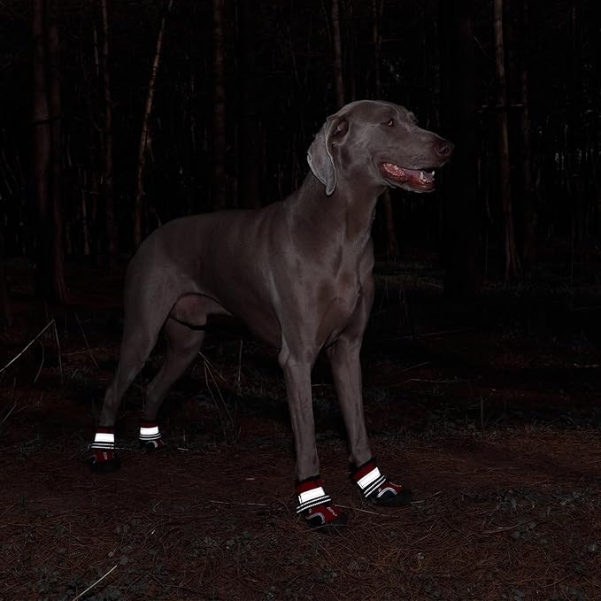 Dog Shoes, Waterproof Dog Boots & Paw Protectors with Anti-Slip Sole, 4pcs/Set Pet Dog Booties, Reflective Dog Shoes for Small Medium Large, Winter Snowy Summer Hot Pavement(Red,1# (3XS)