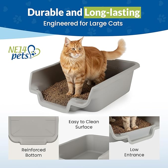 KittyGoHere Senior Cat Litter Box, Jumbo Litter pan, Open Top Low Entrance Kitty Litter Box, Lightweight Low Entry Litters Box, Durable, Made in USA (2 Pack - Misty Gray)