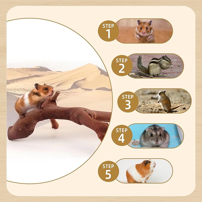 kathson 2PCS Wood Hamster Climbing Branches Decor, Natural Wooden Syrian Hamster Climb Chewing Toys, Rat Exercise Toys, Small Animal Habitat Decor Accessories for Dwarf Pets, Gerbils, Mice (5.9 in)