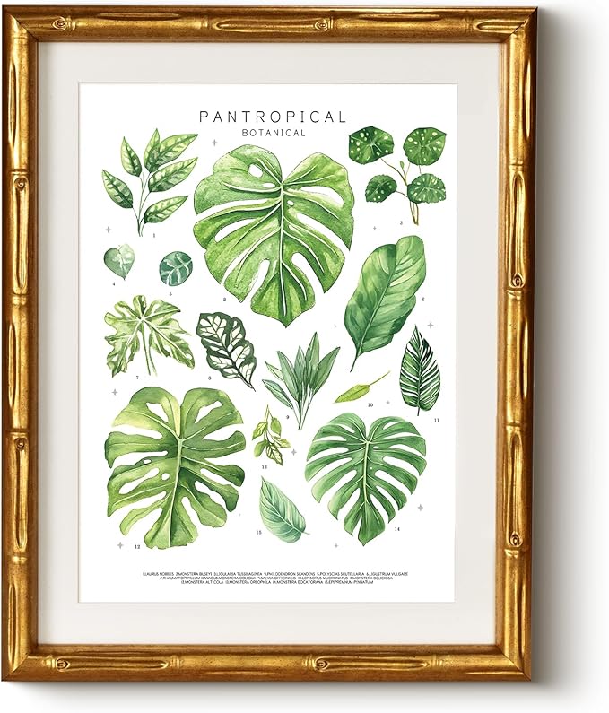 Pantropical Botanical Gold Bamboo-Textured Framed Wall Art, Nature-Inspired 11x14 Inch Tropical Greenery & Monstera Leaf Plants Canvas Print, Modern Room Home Office Decor for Bathroom Bedroom