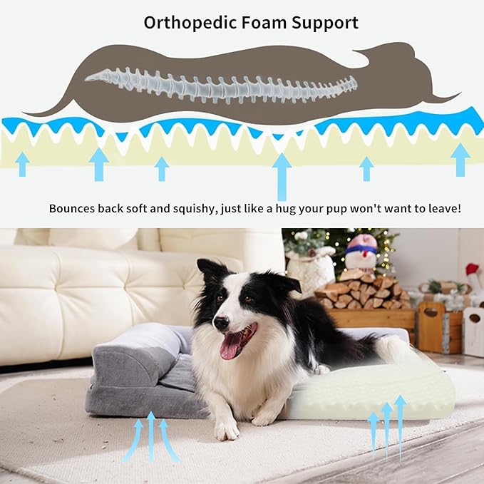 Dog lying on an orthopedic foam support bed with a diagram of spinal support.