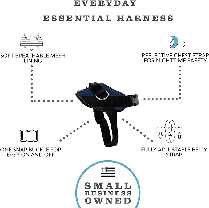 ShawnCo Essential Dog Harness, No-Pull Pet Vest with 3 Leash Clips, No Choke, Reflective, Adjustable and Padded, for Easy Walking and Training for Small, Medium and Large Dogs (Pacific Blue, XL)