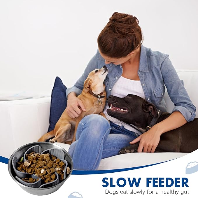Slow Feeder Dog Bowl Insert, Flower Design Slow Feeder Insert, Anti-Choking Pet Food Dish for Large Medium Small Breed Dogs, Gray
