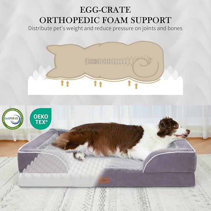 Comfort Expression Orthopedic Dog Bed for Large Dogs 36x27 Inch, Waterproof Supportive Egg Crate Foam Large Pet Bed with Removable Bolsters, Dog Couch with Washable Cover & Non-Slip Bottom, Purple